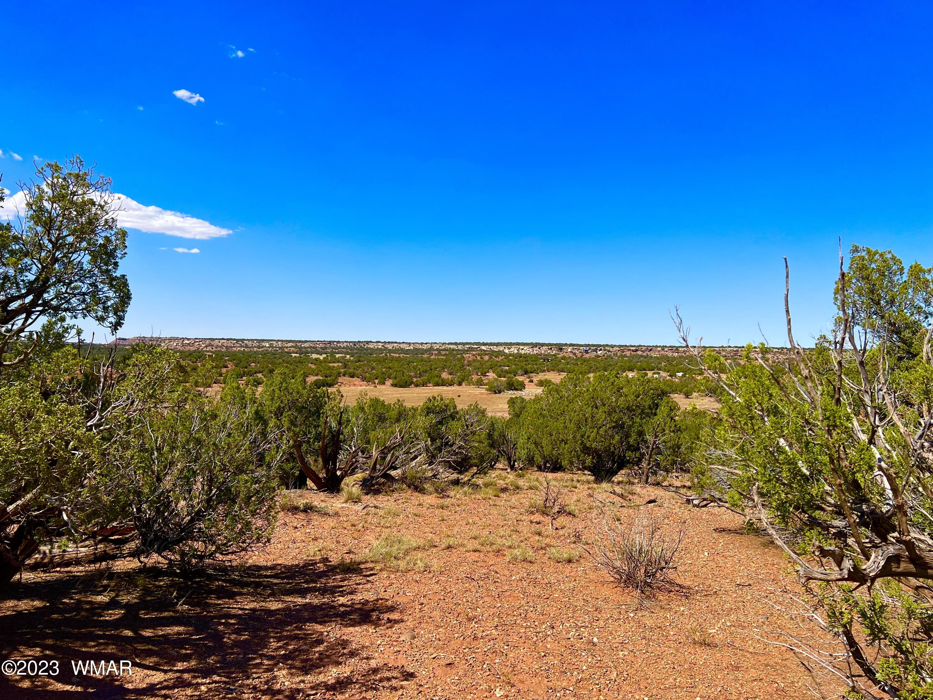 18 Acres Snowflake Az 85937 Snowflake, AZ 85937 - Photo 9 of 23