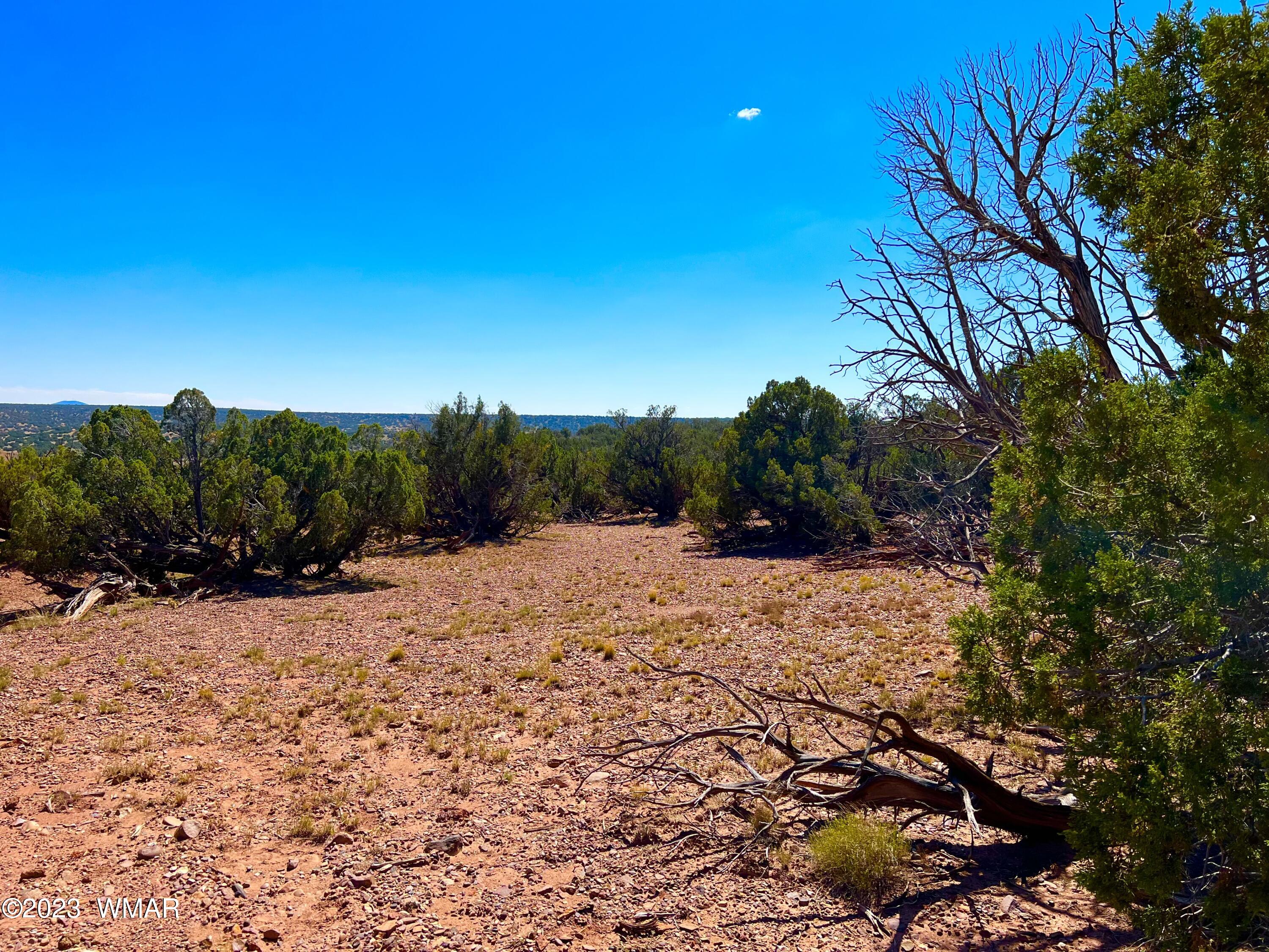 18 Acres Snowflake Az 85937 Snowflake, AZ 85937 - Photo 10 of 23