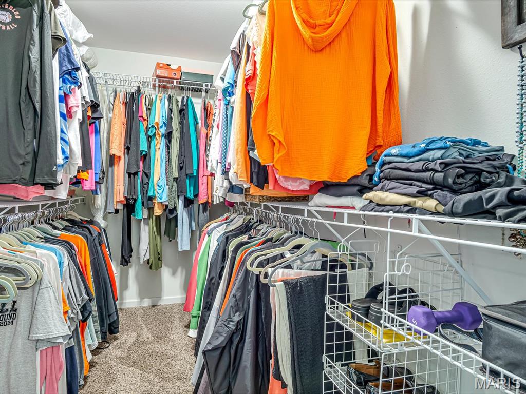 1235 Castle Green Drive Waterloo, IL 62298 - Photo 24 of 40