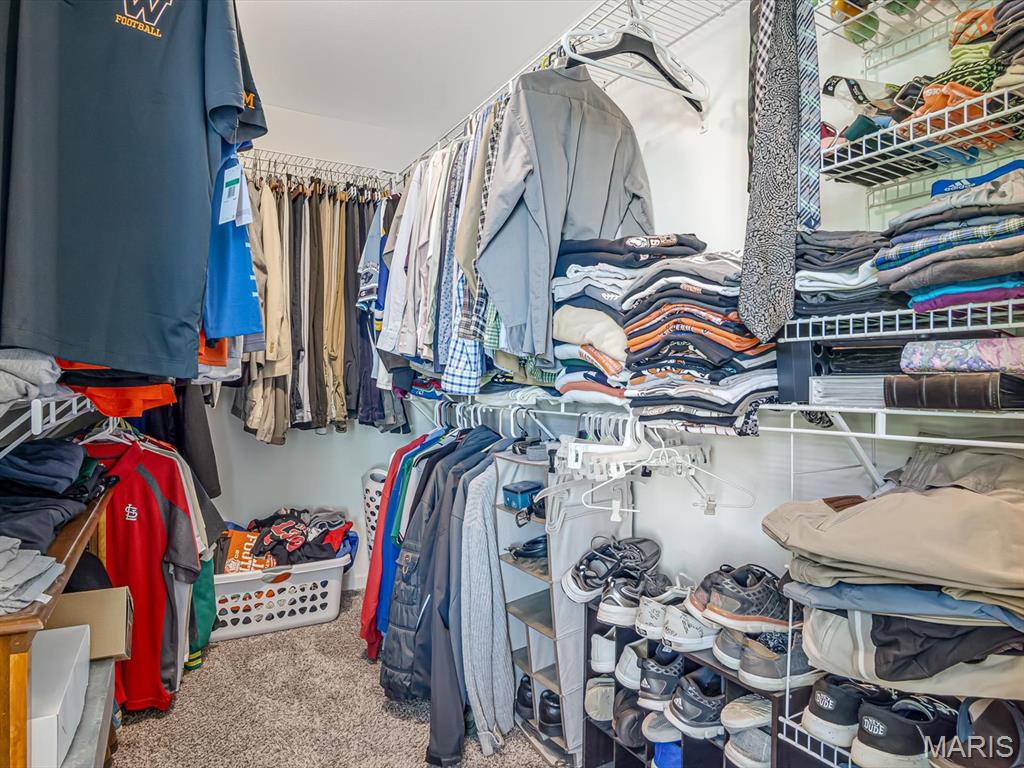 1235 Castle Green Drive Waterloo, IL 62298 - Photo 25 of 40