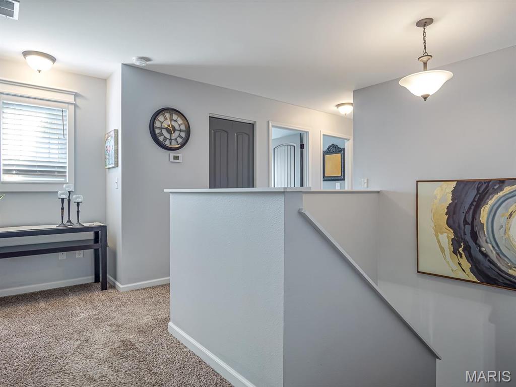 1235 Castle Green Drive Waterloo, IL 62298 - Photo 26 of 40