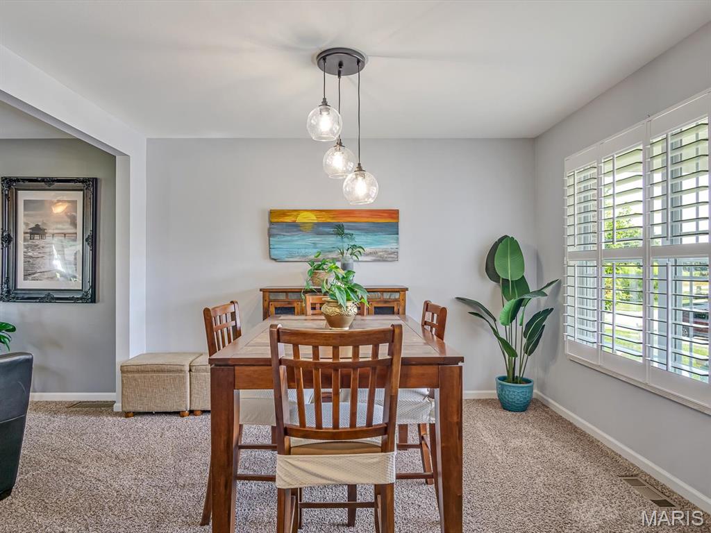 1235 Castle Green Drive Waterloo, IL 62298 - Photo 7 of 40