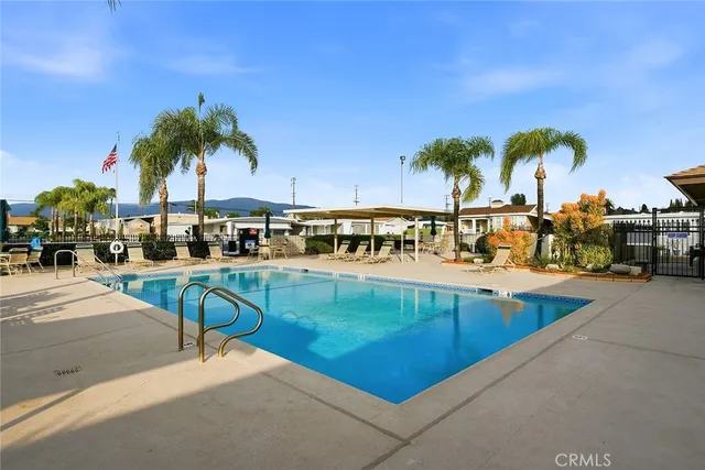 a view of swimming pool with outdoor seating and a palm tree