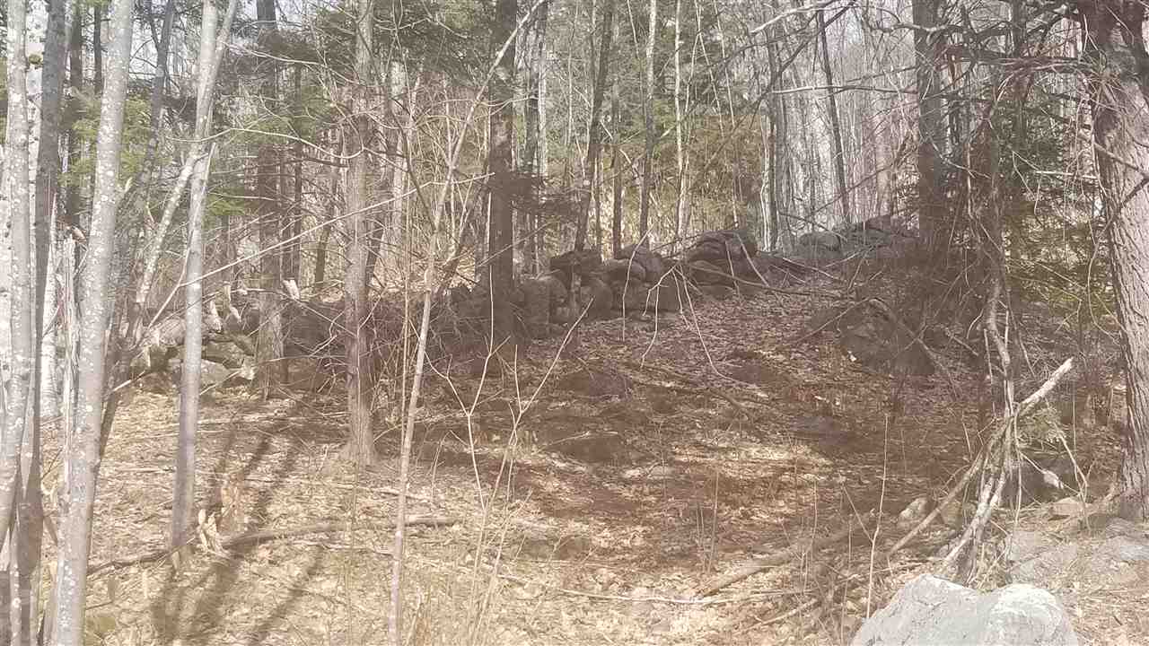 92 McMurphy Road Alexandria, NH 03222 - Photo 3 of 4 Gallery Image 3