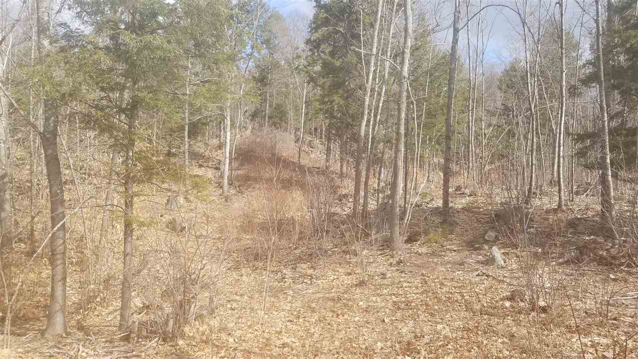 92 McMurphy Road Alexandria, NH 03222 - Photo 4 of 4 Gallery Image 4