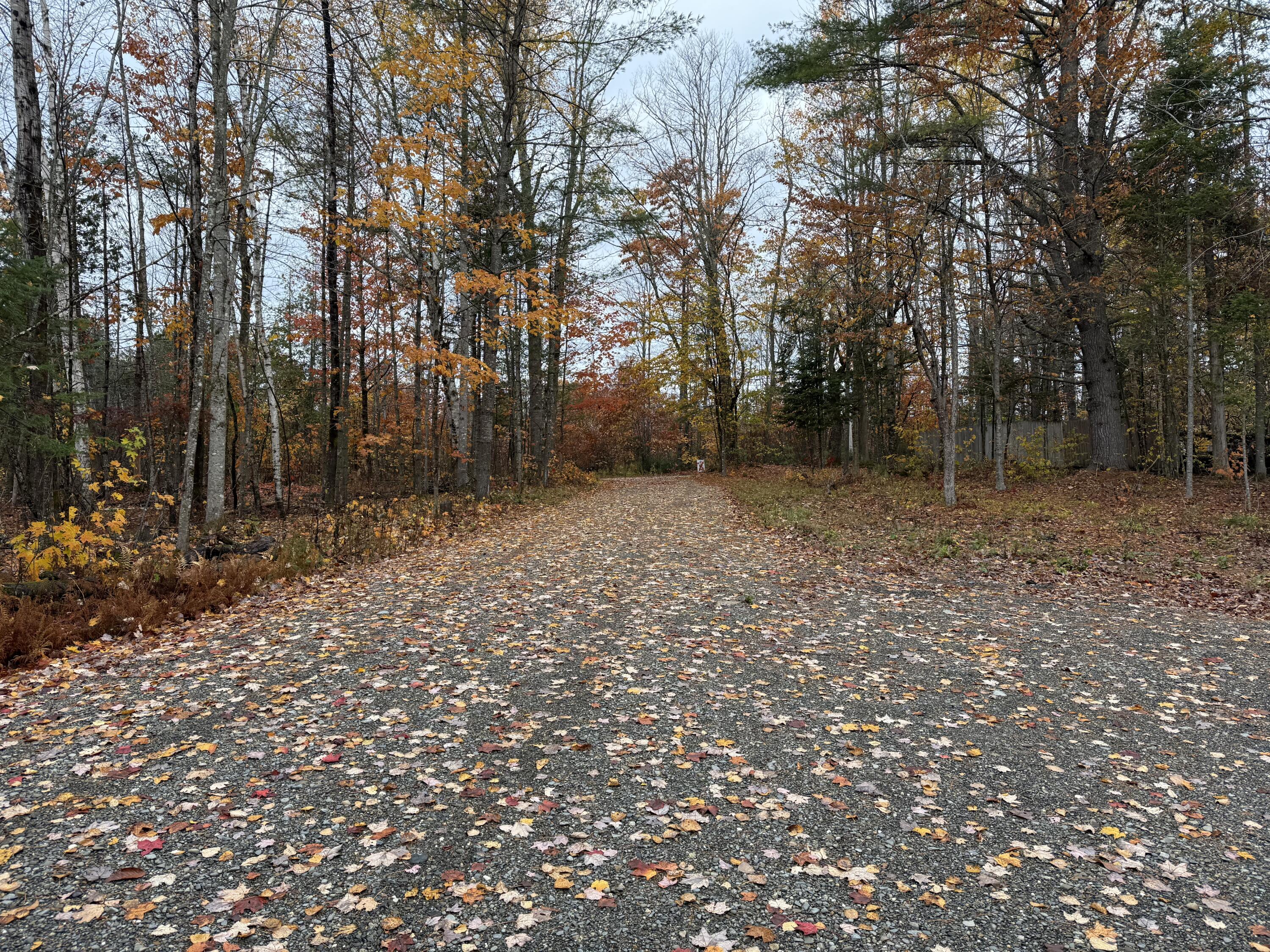 131 Thurston Road Cornville, ME 04976 - Photo 25 of 43 IMG_3296