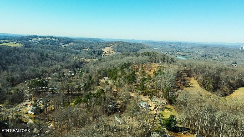 351 Blacks Ferry Road Knoxville, TN 37931 - Photo 2 of 29 Gallery Image 2