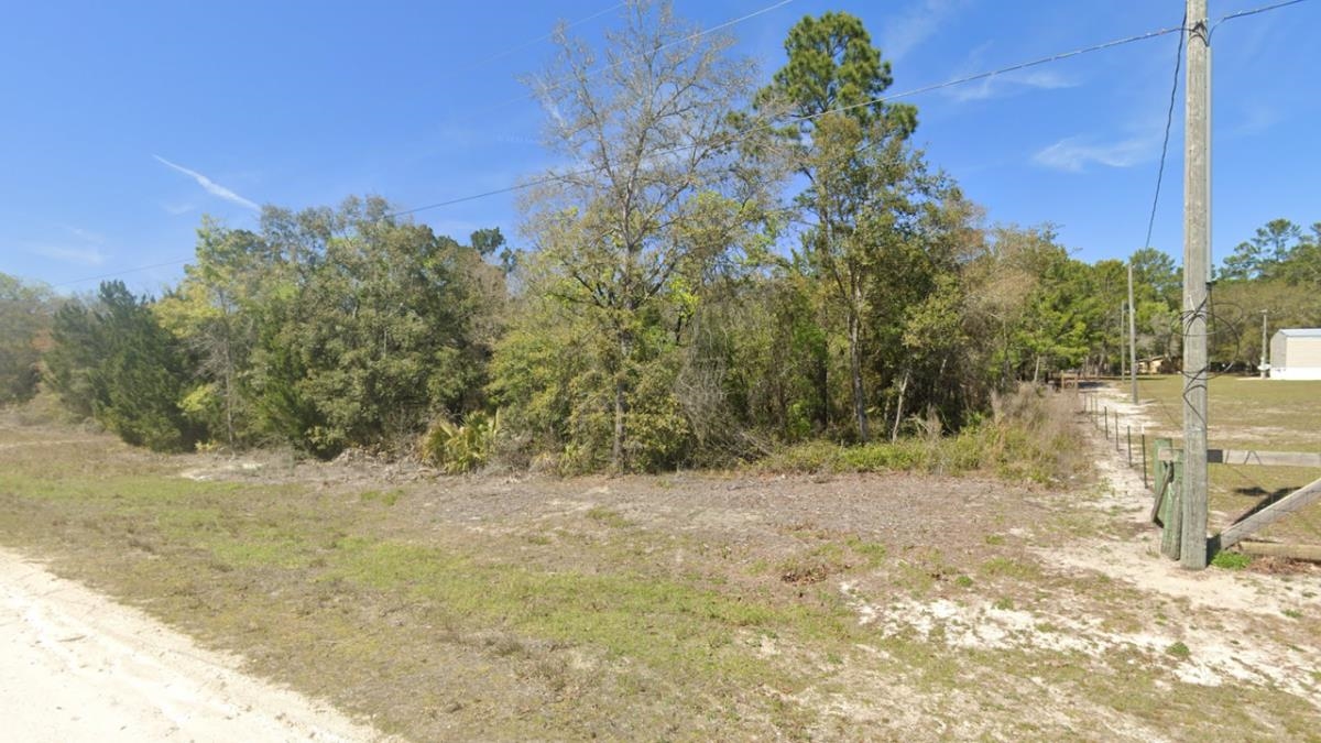 Oak Street Perry, FL 32348 - Photo 3 of 4 Gallery Image 3
