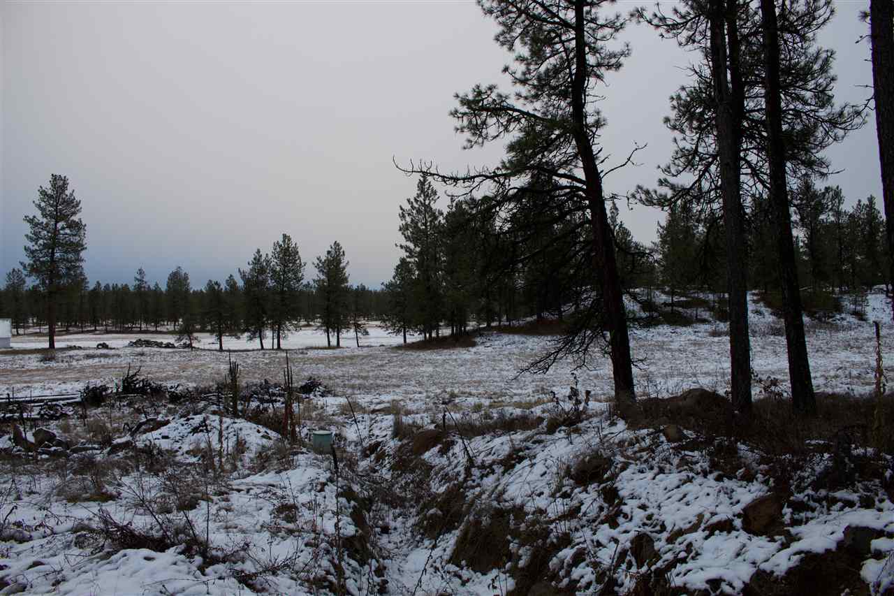 4717 West Curtis Road Cheney, WA 99004 - Photo 12 of 17