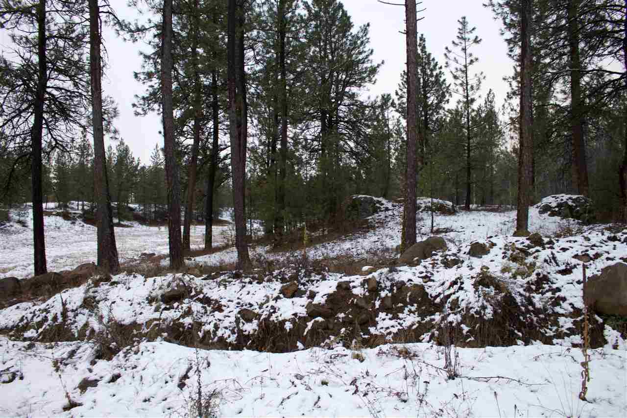 4717 West Curtis Road Cheney, WA 99004 - Photo 13 of 17