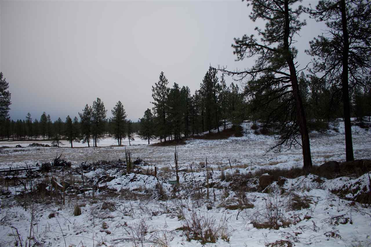 4717 West Curtis Road Cheney, WA 99004 - Photo 14 of 17