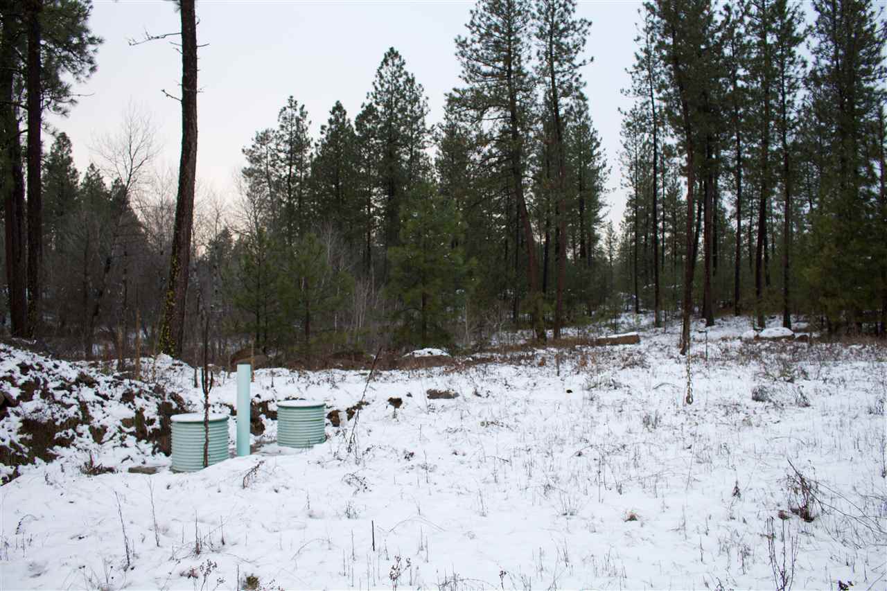 4717 West Curtis Road Cheney, WA 99004 - Photo 15 of 17