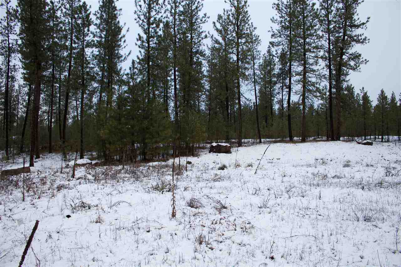 4717 West Curtis Road Cheney, WA 99004 - Photo 7 of 17