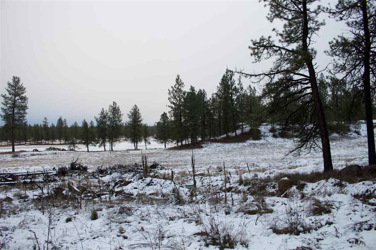 4717 West Curtis Road Cheney, WA 99004 - Photo 8 of 17