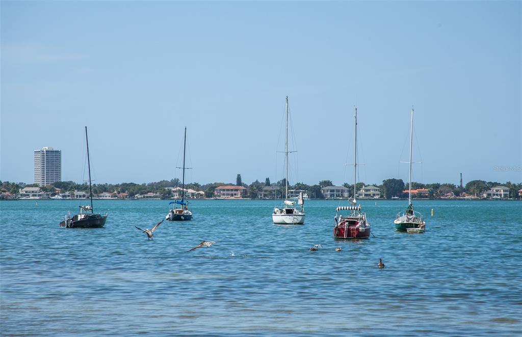 4439 Emerald Ridge Drive Sarasota, FL 34233 - Photo 28 of 48 Sarasota Bay