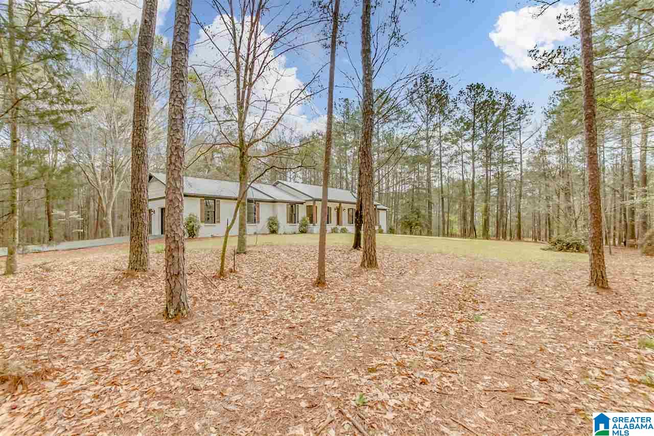 6150 Chelsea Road Columbiana, AL 35051 - Photo 43 of 50