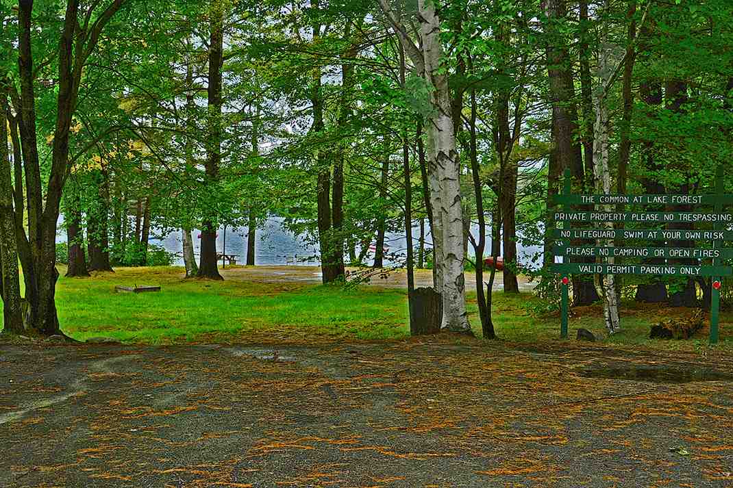 194 Lane Road Holderness, NH 03245 - Photo 3 of 34
