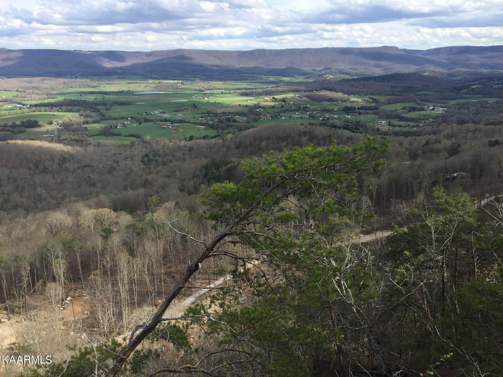 Bench Road Pikeville, TN 37367 - Photo 1 of 58 Bench Road 100 acres