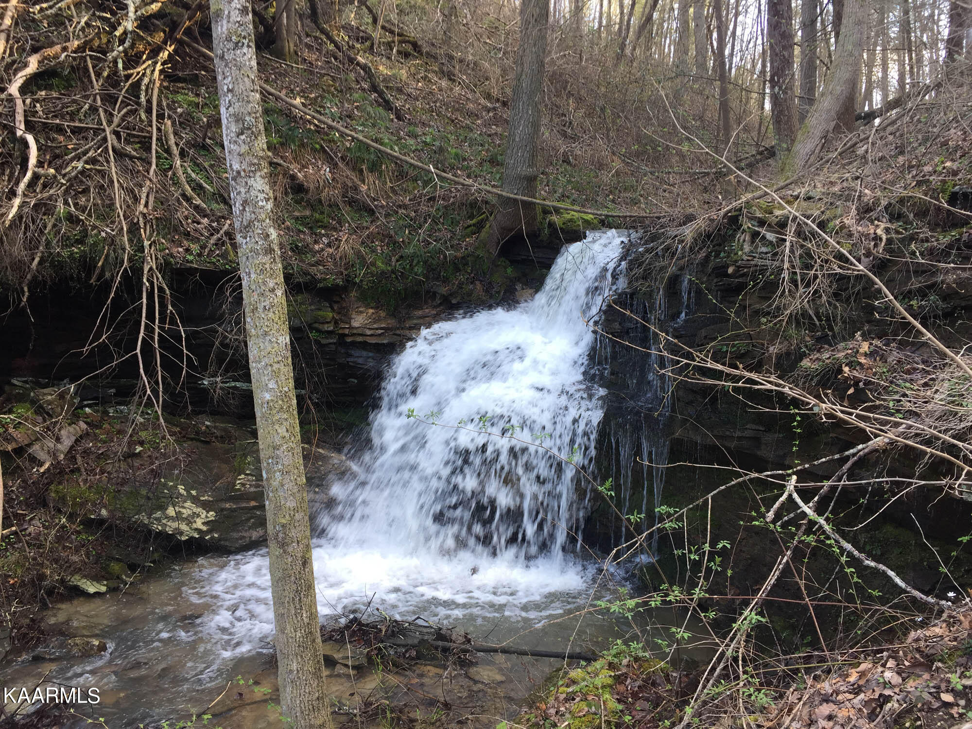 Bench Road Pikeville, TN 37367 - Photo 11 of 58 IMG_1423web