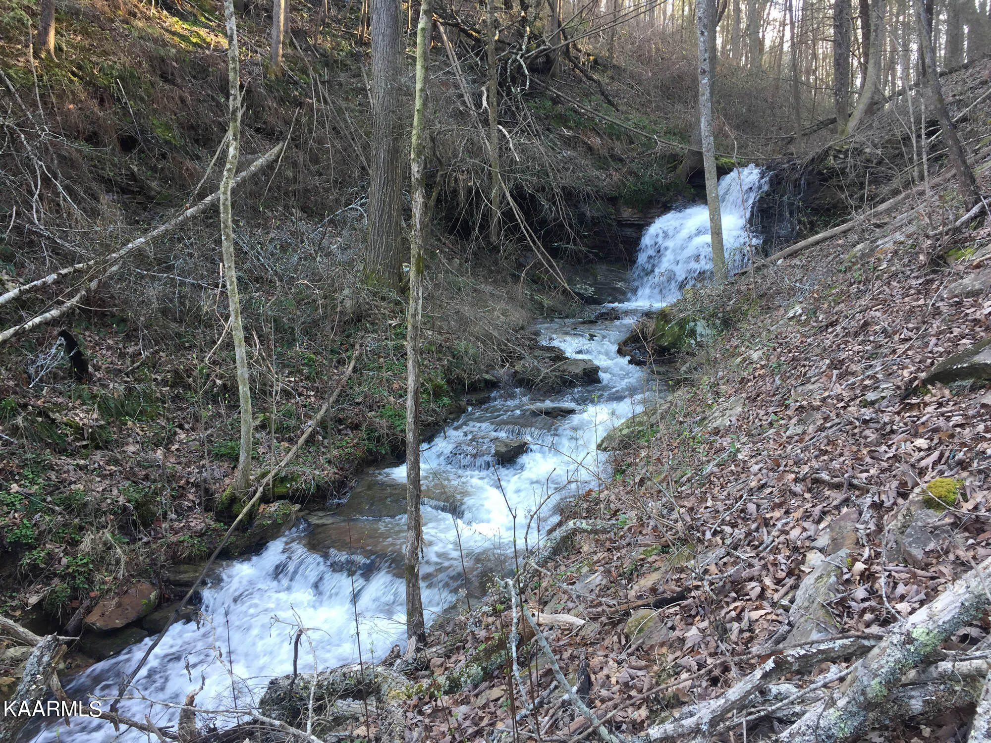 Bench Road Pikeville, TN 37367 - Photo 12 of 58 IMG_1425web