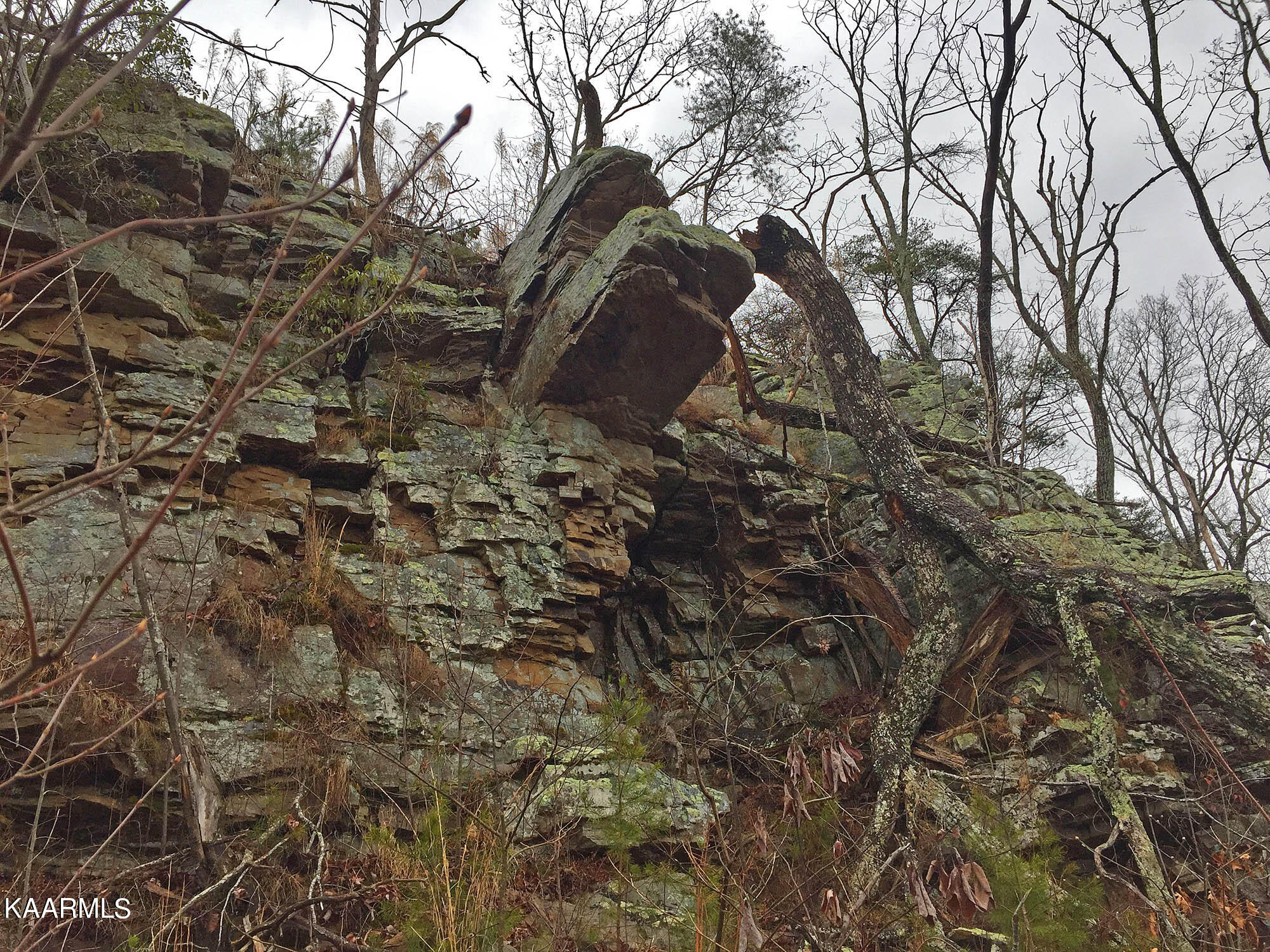 Bench Road Pikeville, TN 37367 - Photo 18 of 58 IMG_0469web