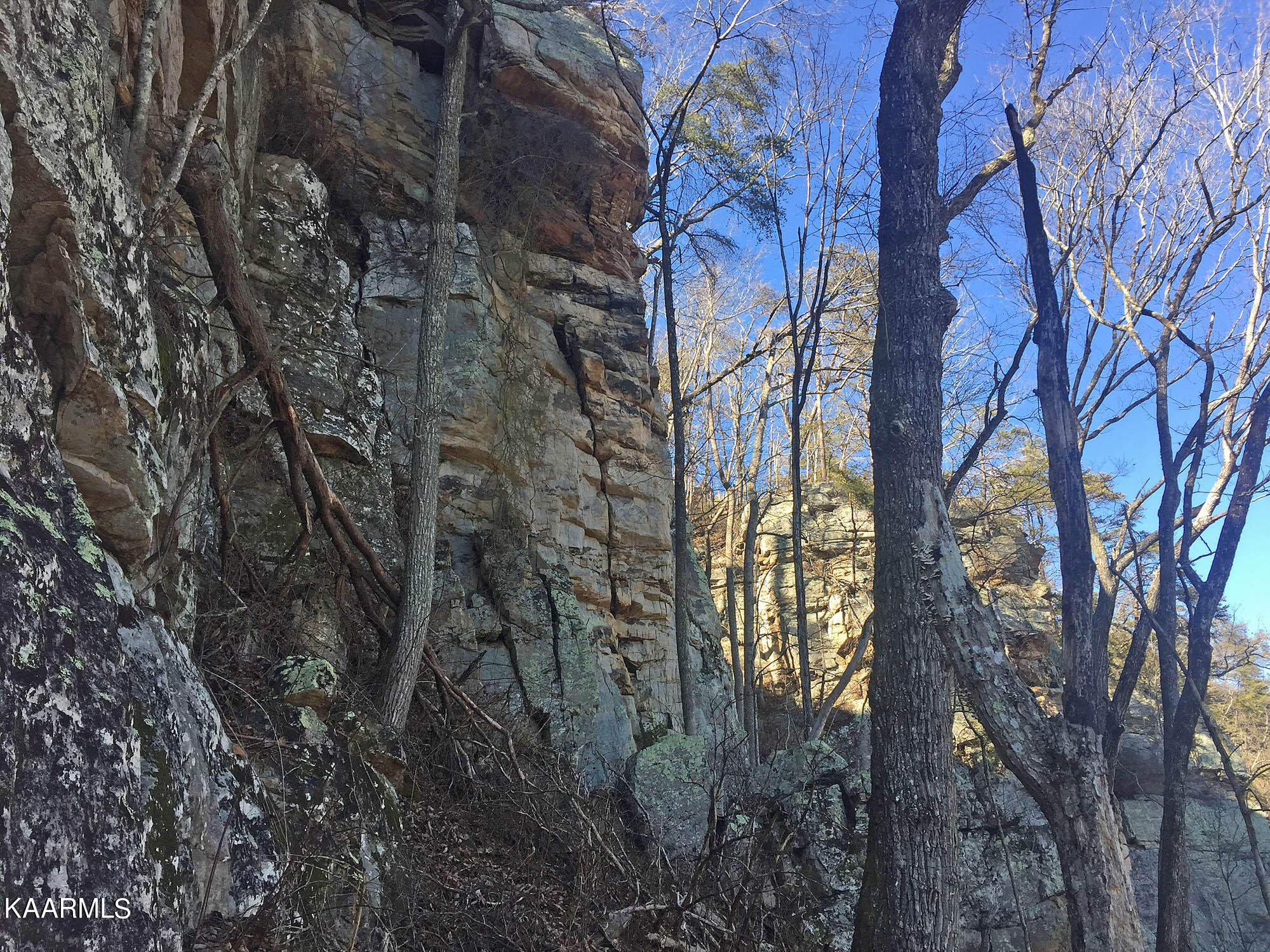 Bench Road Pikeville, TN 37367 - Photo 19 of 58 IMG_0595web