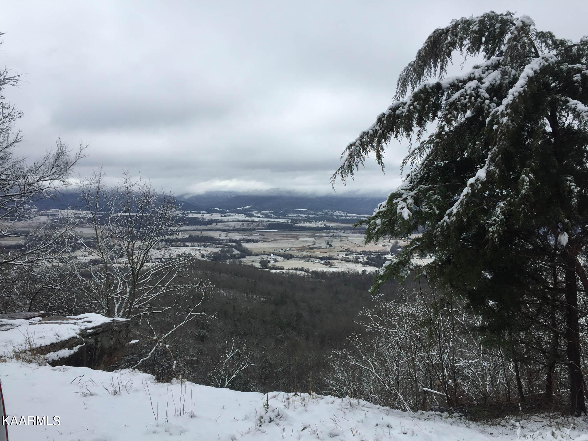 Bench Road Pikeville, TN 37367 - Photo 20 of 58 IMG_0635web