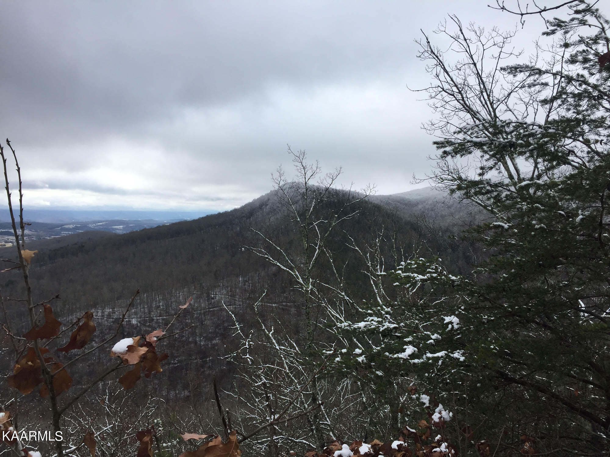 Bench Road Pikeville, TN 37367 - Photo 21 of 58 IMG_0638web