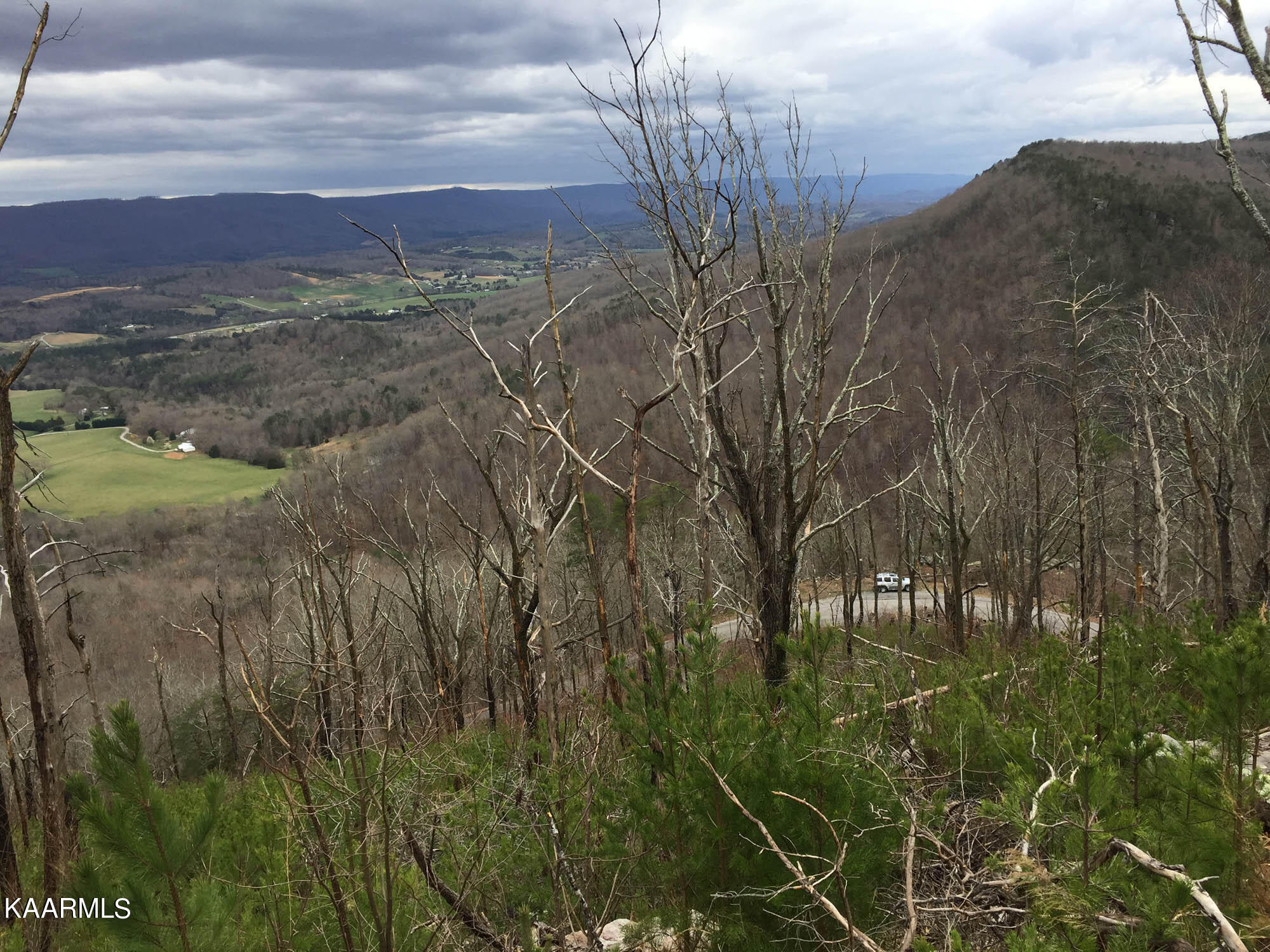 Bench Road Pikeville, TN 37367 - Photo 23 of 58 IMG_1173web