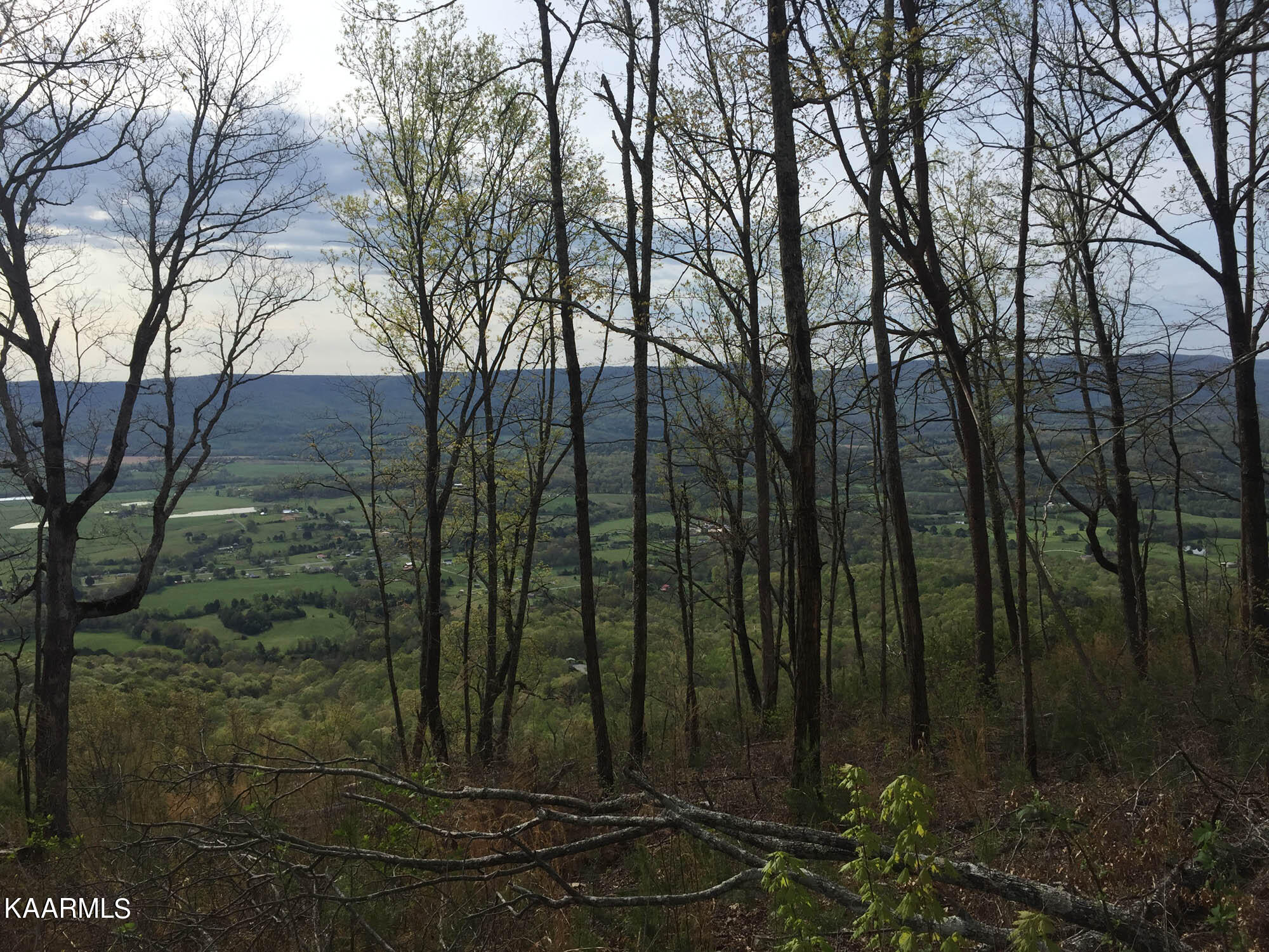 Bench Road Pikeville, TN 37367 - Photo 25 of 58 IMG_1829web