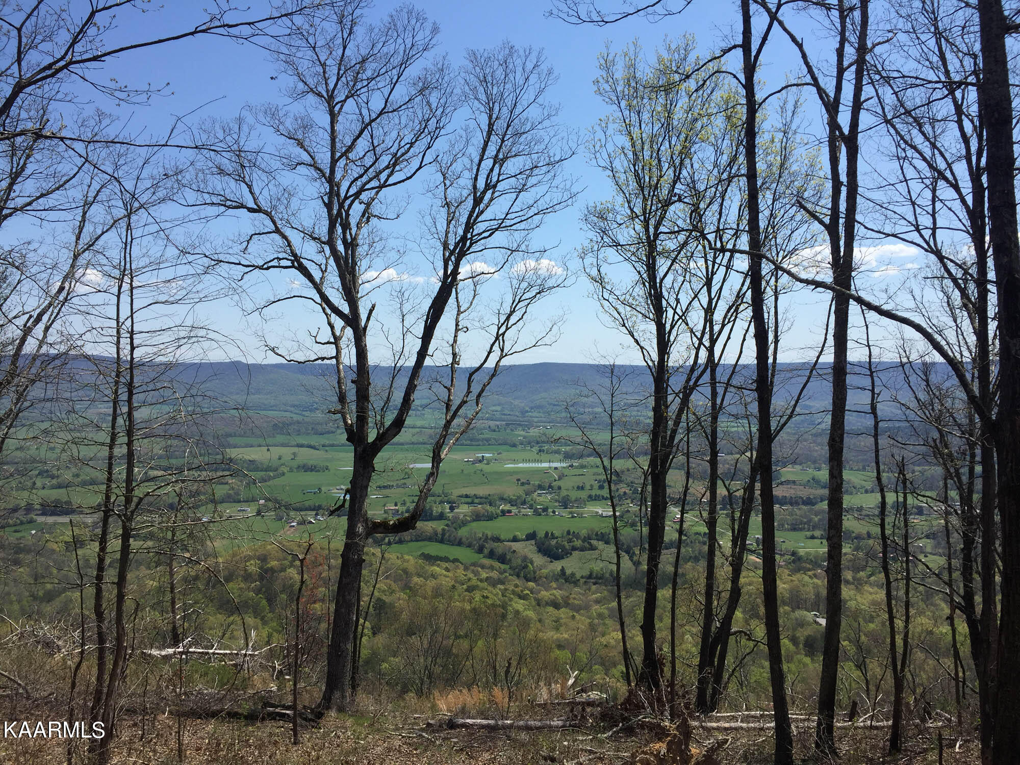 Bench Road Pikeville, TN 37367 - Photo 26 of 58 IMG_8712web