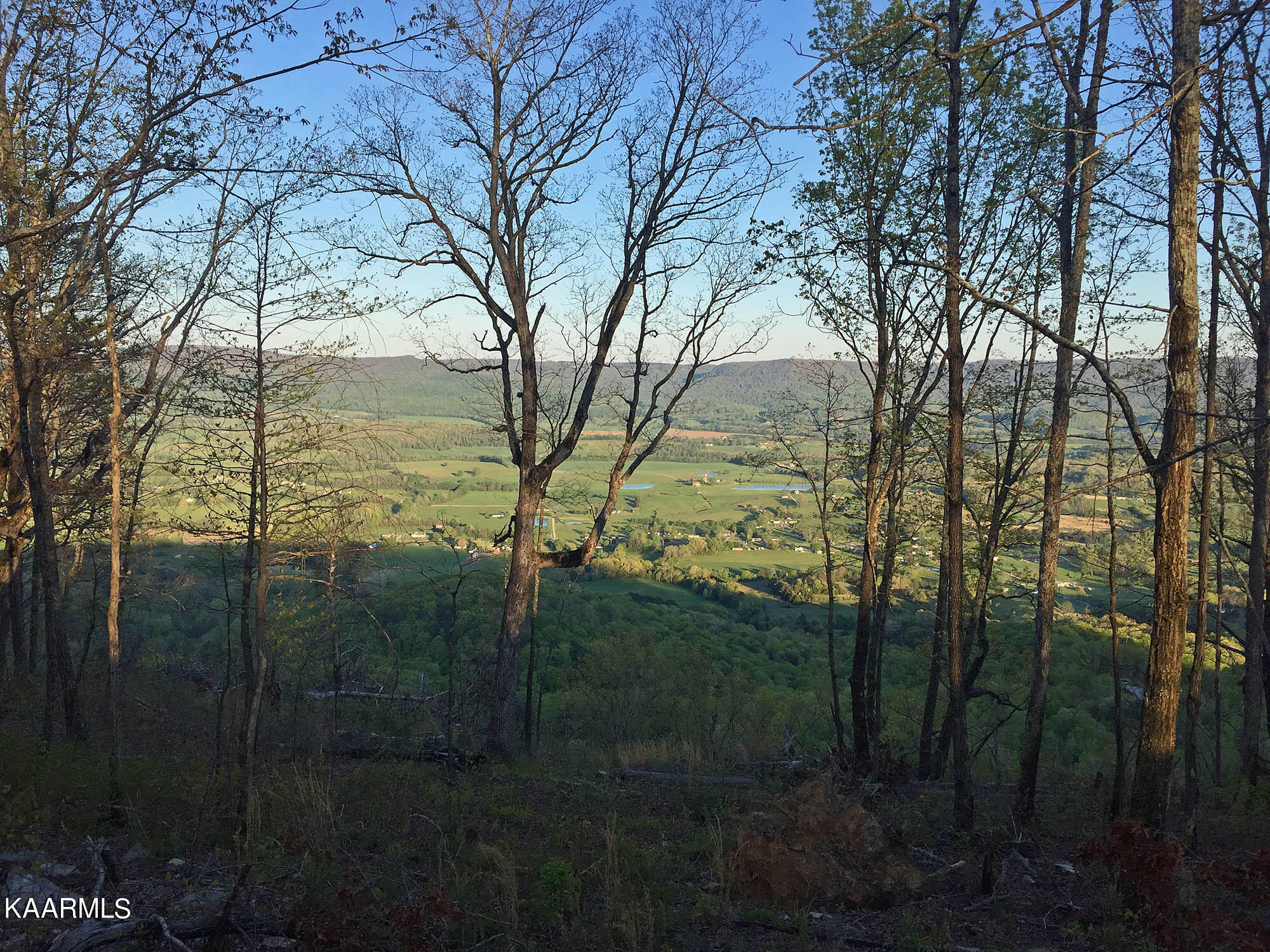 Bench Road Pikeville, TN 37367 - Photo 27 of 58 IMG_8804web