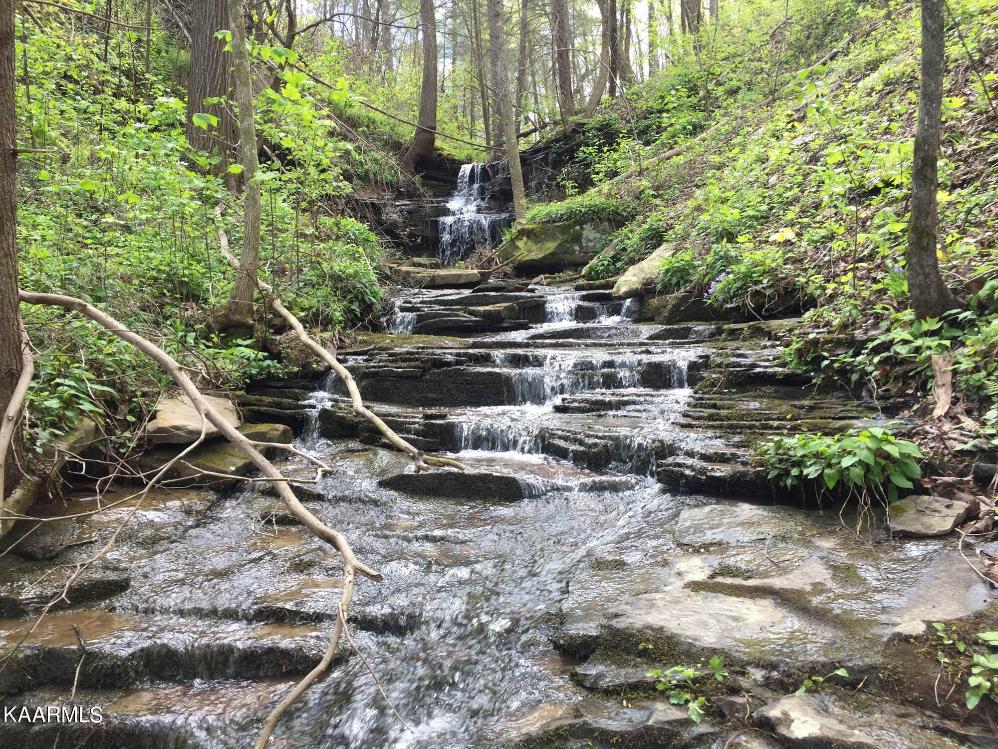 Bench Road Pikeville, TN 37367 - Photo 28 of 58 IMG_8840web