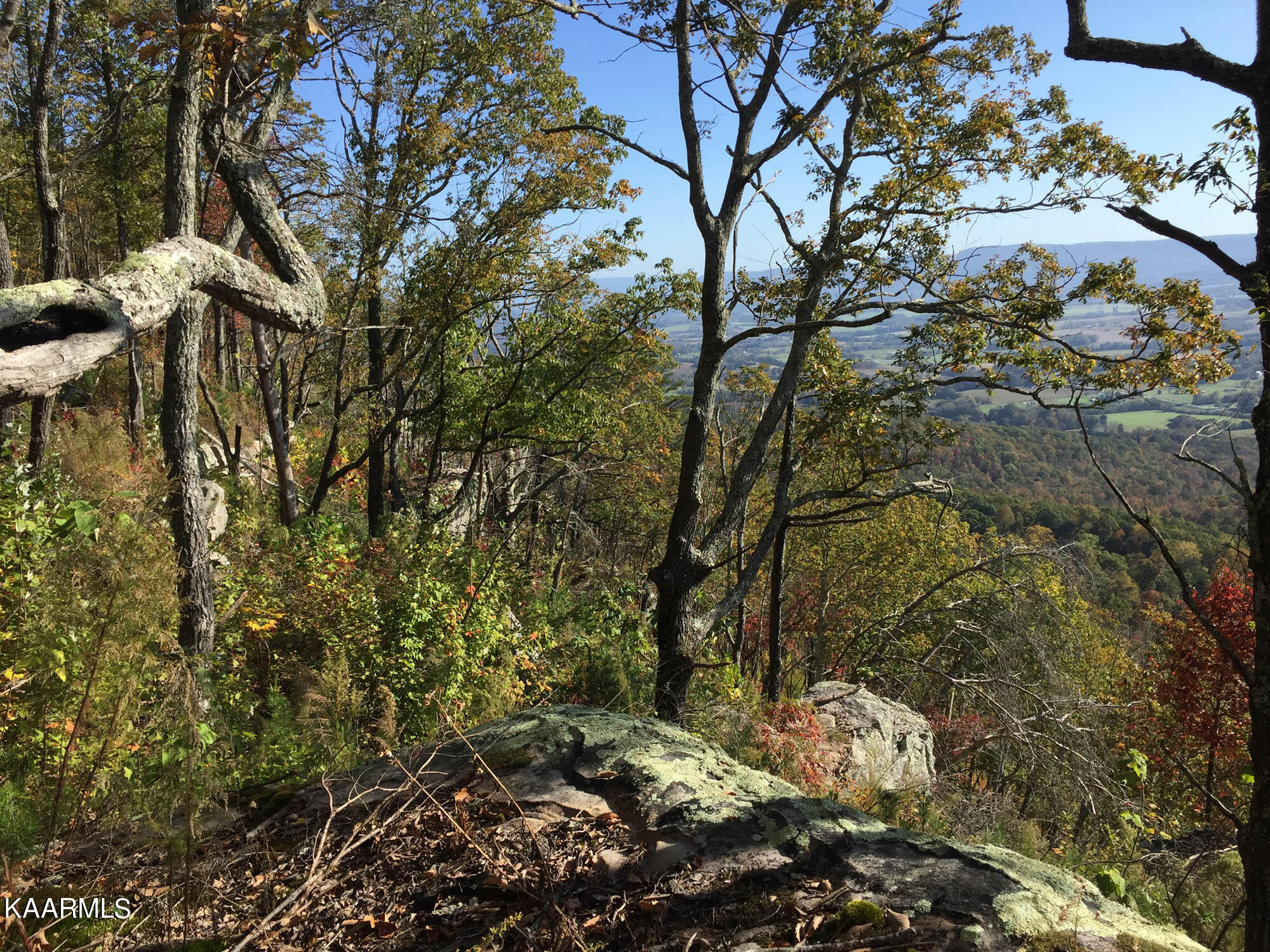 Bench Road Pikeville, TN 37367 - Photo 3 of 58 IMG_9819web