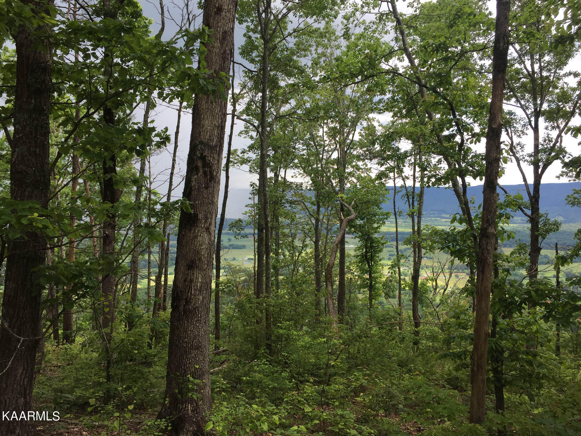 Bench Road Pikeville, TN 37367 - Photo 34 of 58 IMG_9081web