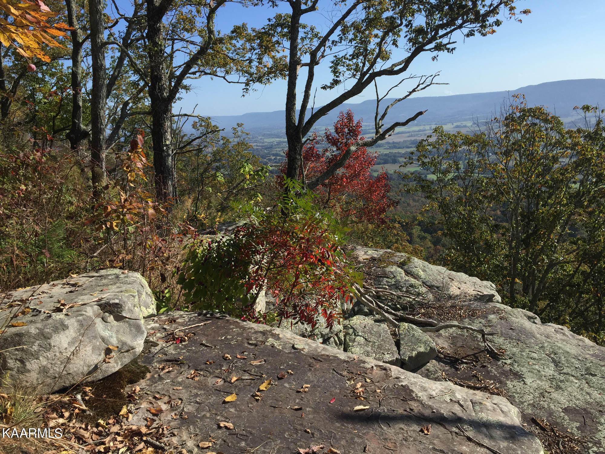 Bench Road Pikeville, TN 37367 - Photo 40 of 58 IMG_9822web