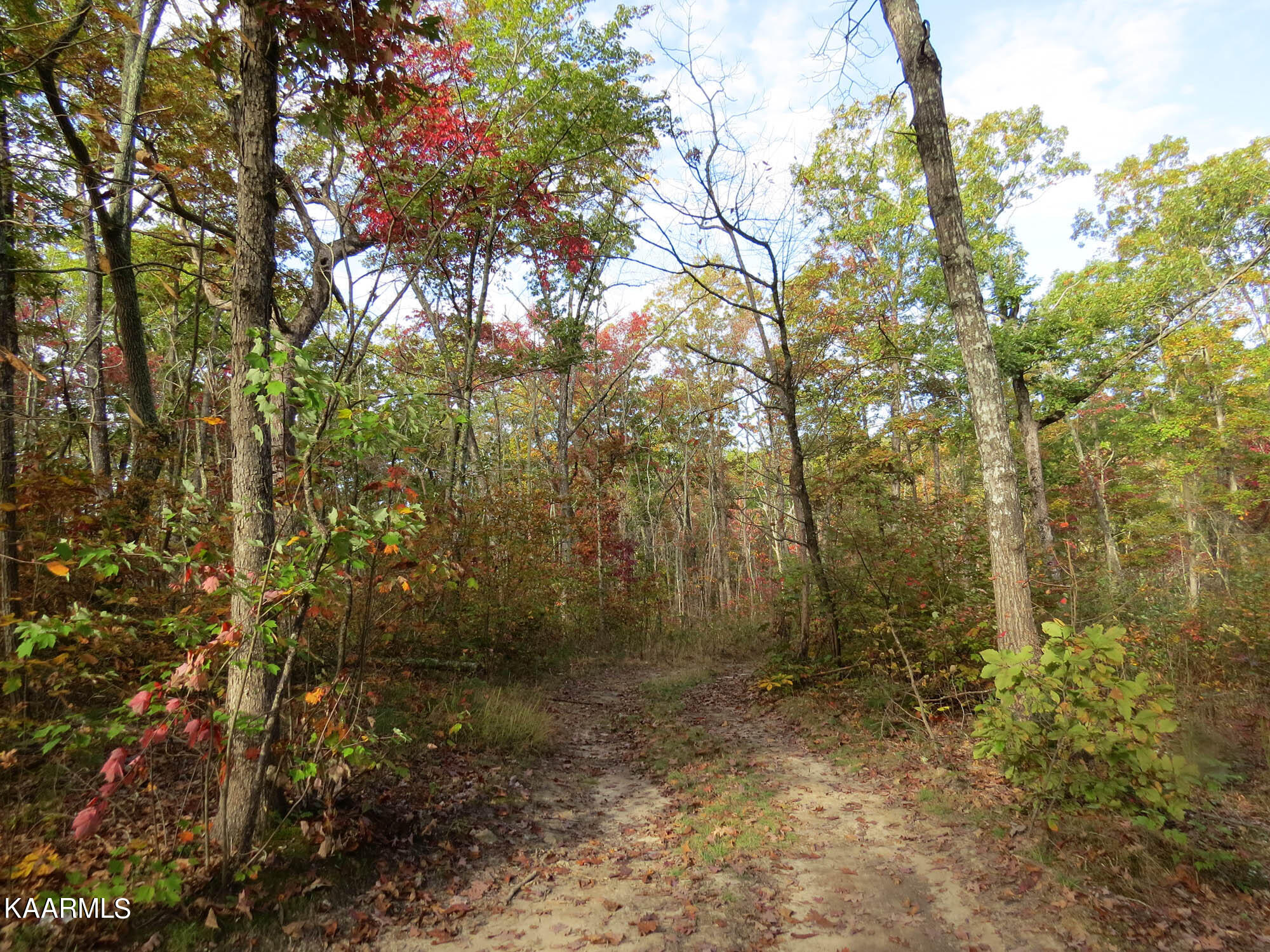 Bench Road Pikeville, TN 37367 - Photo 46 of 58 102220_0045web