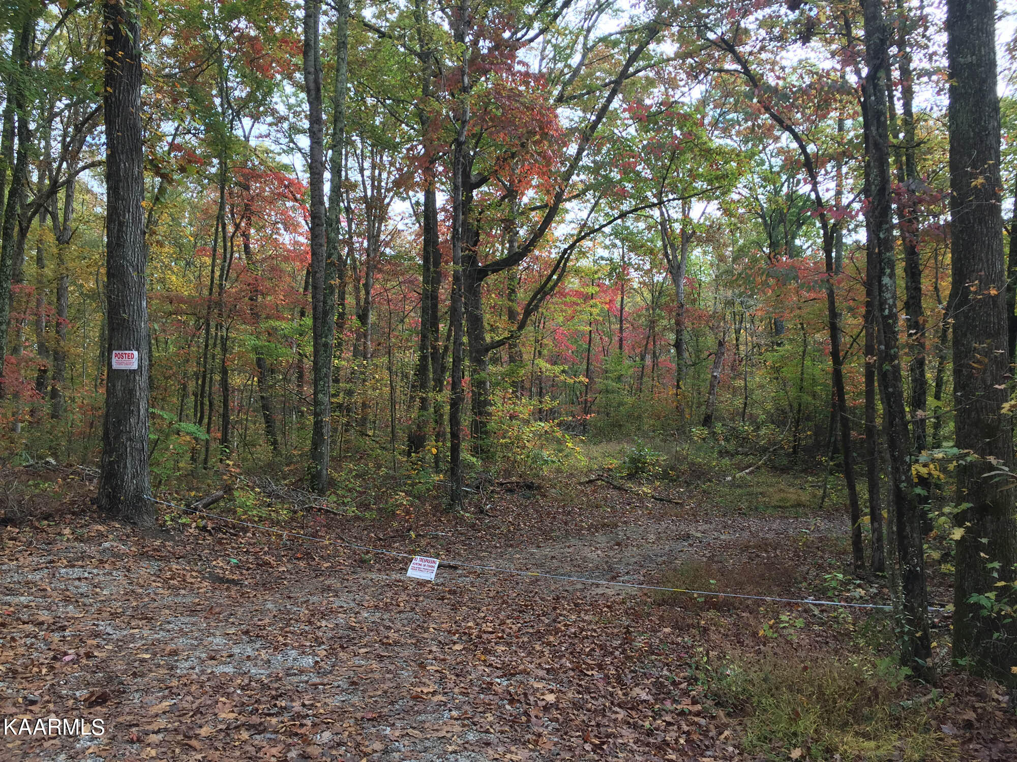 Bench Road Pikeville, TN 37367 - Photo 47 of 58 Road into property