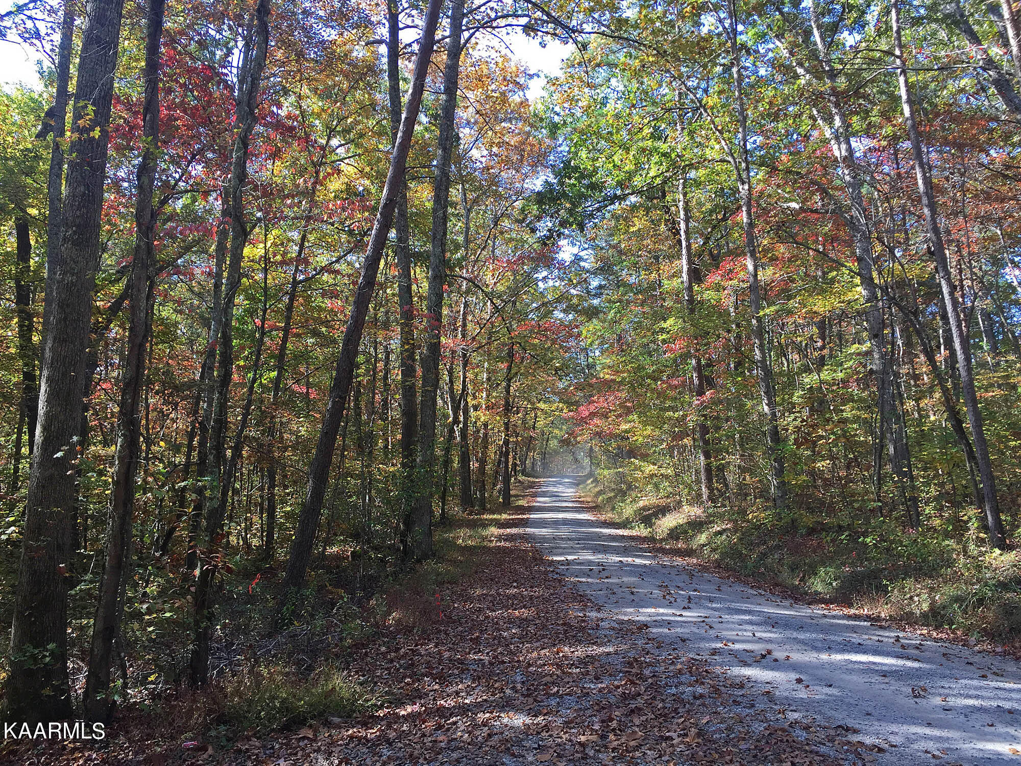 Bench Road Pikeville, TN 37367 - Photo 51 of 58 Bench Road