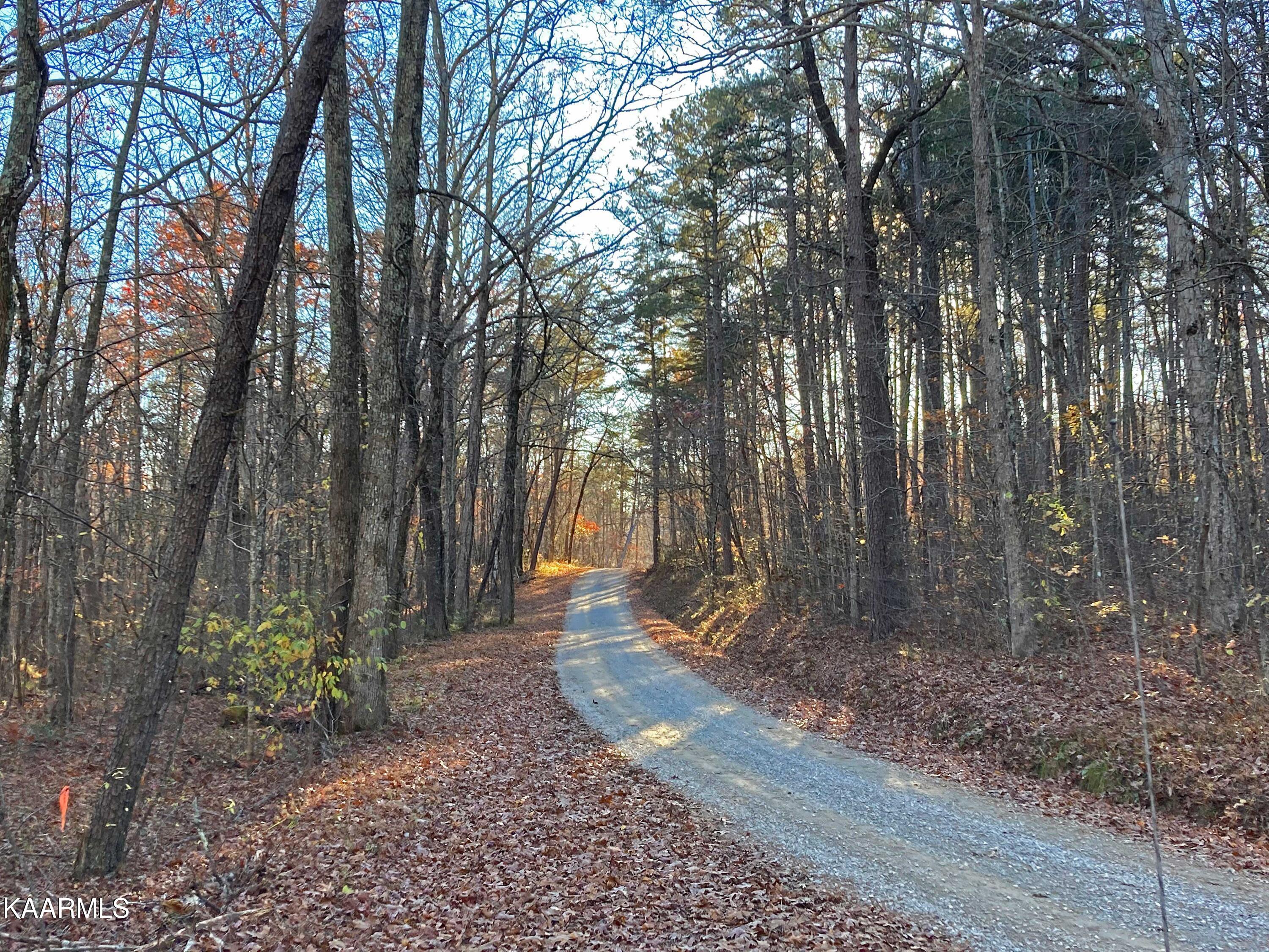 Bench Road Pikeville, TN 37367 - Photo 52 of 58 Bench Road