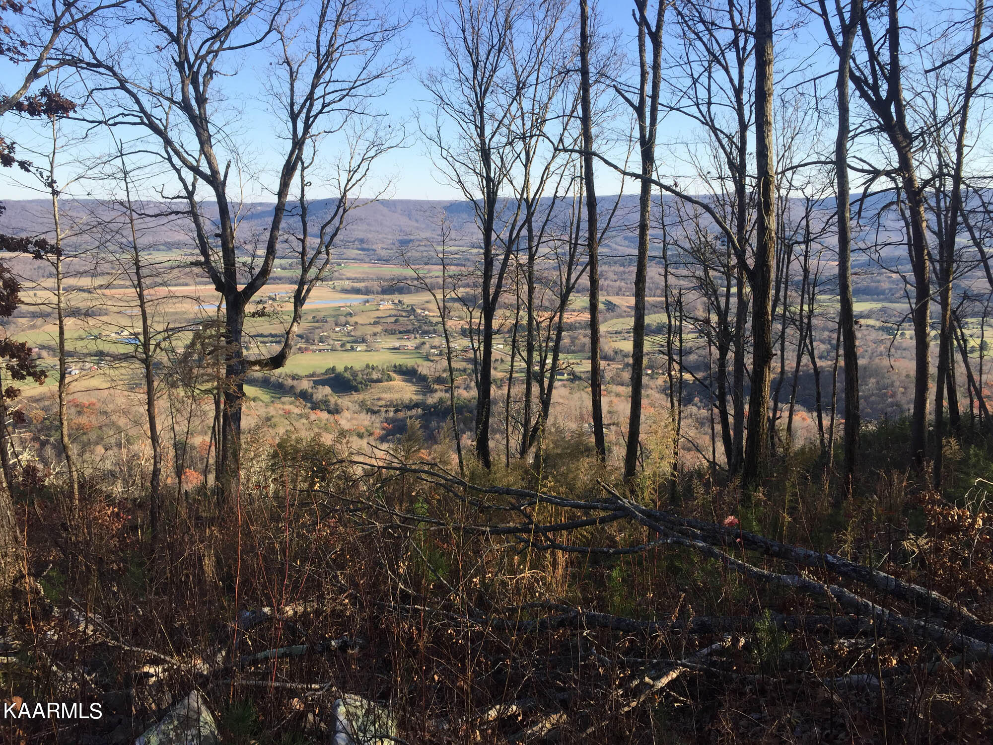 Bench Road Pikeville, TN 37367 - Photo 6 of 58 IMG_0071web