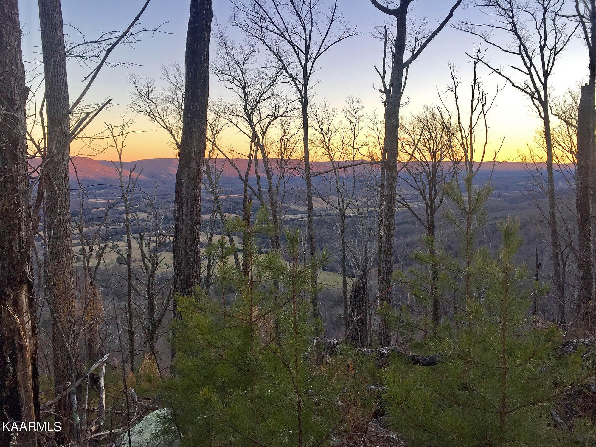 Bench Road Pikeville, TN 37367 - Photo 7 of 58 IMG_0338web