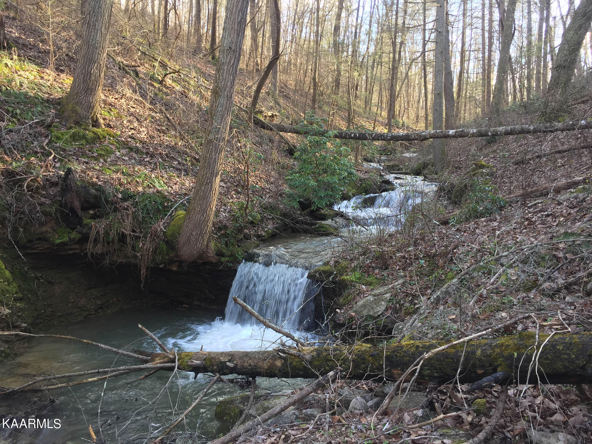 Bench Road Pikeville, TN 37367 - Photo 10 of 58 IMG_1421web