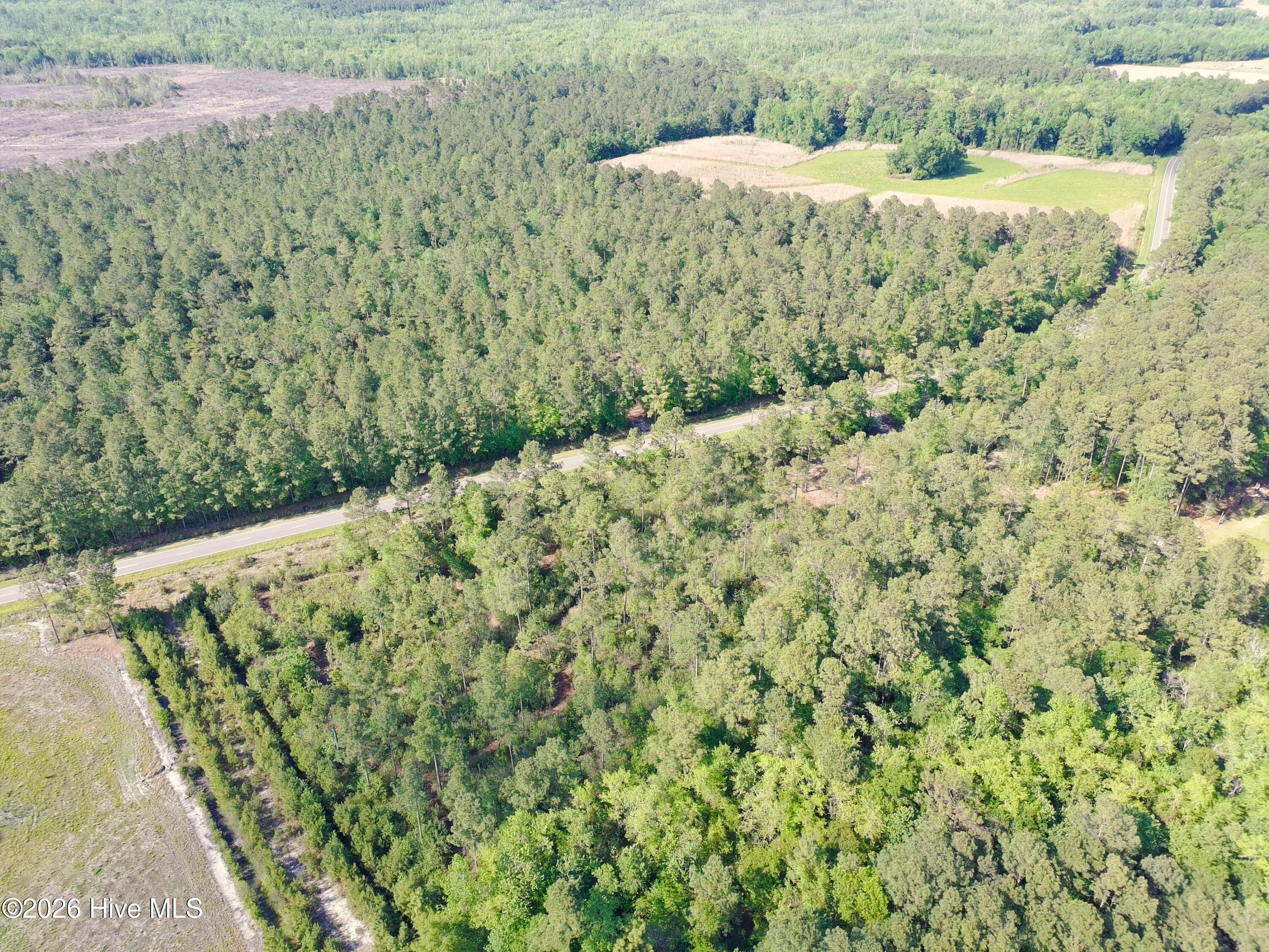 1827 Lightwood Bridge Road Wallace, NC 28466 - Photo 11 of 11 PTSC_1090