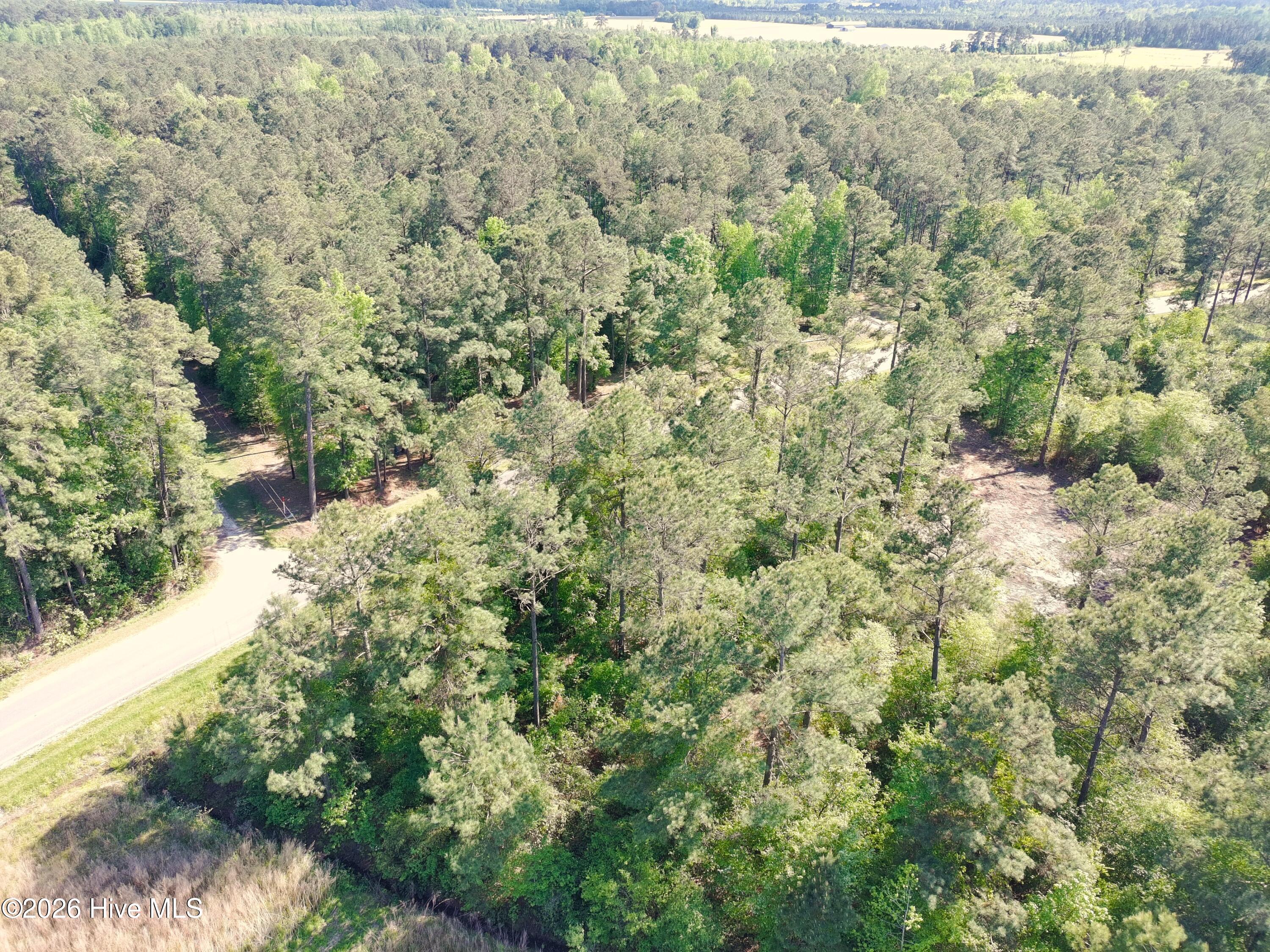 1827 Lightwood Bridge Road Wallace, NC 28466 - Photo 3 of 11 PTSC_1018