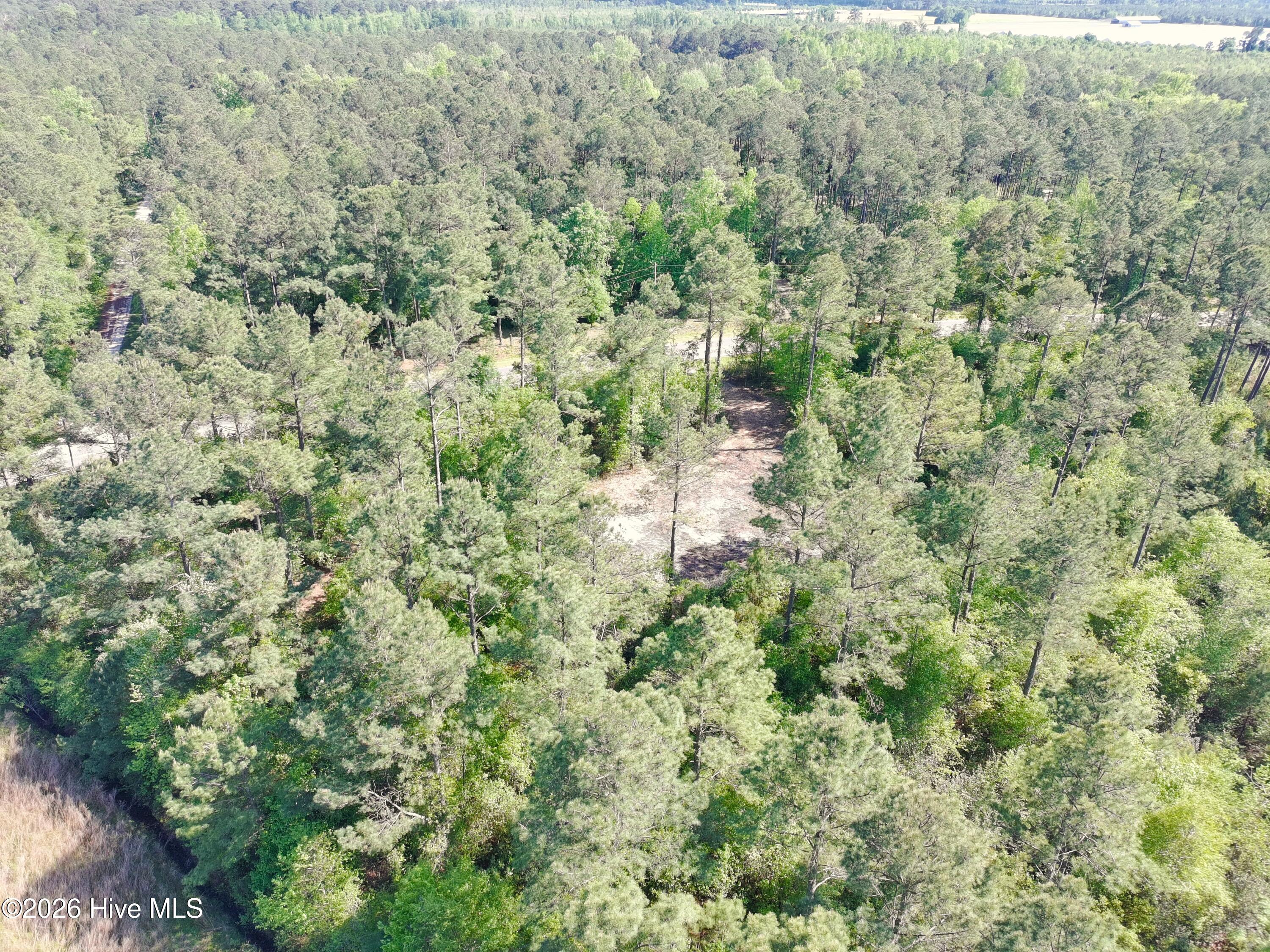 1827 Lightwood Bridge Road Wallace, NC 28466 - Photo 4 of 11 PTSC_1020