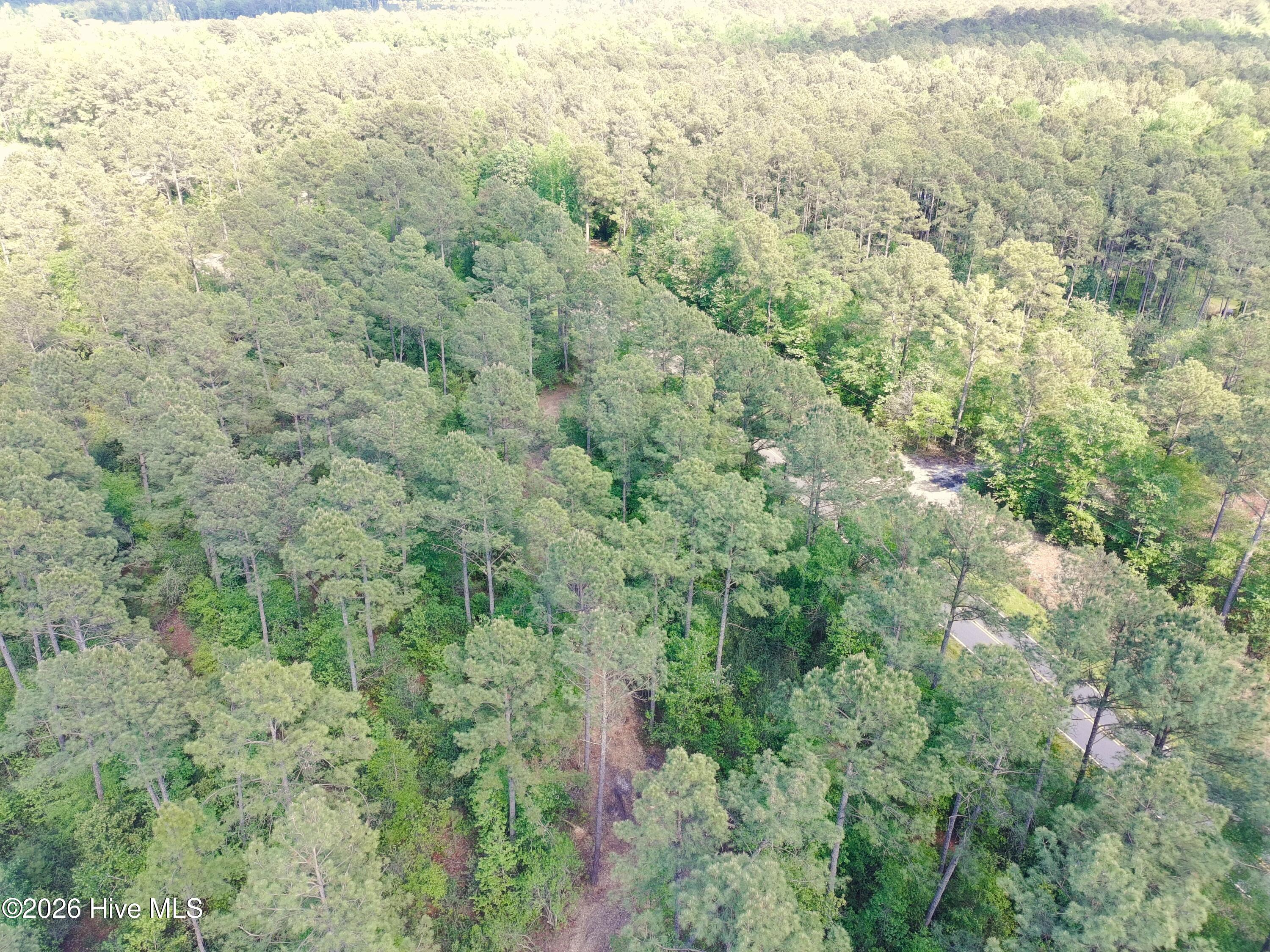 1827 Lightwood Bridge Road Wallace, NC 28466 - Photo 5 of 11 PTSC_1027