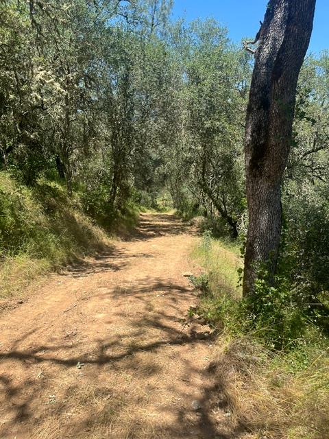 0 Stony Creek Road Ione, CA 95640 - Photo 69 of 70