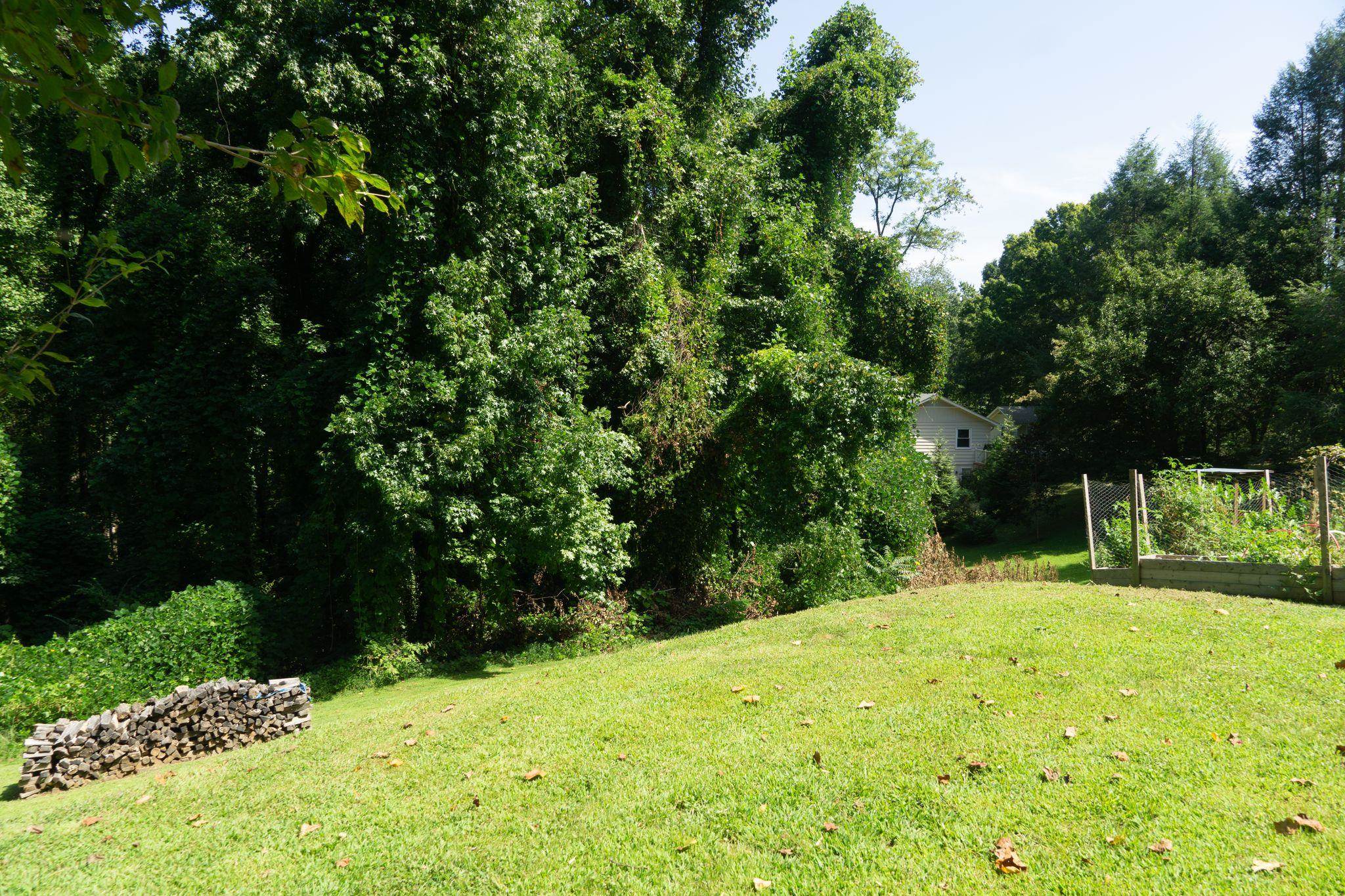 409 Lockhart Road Tryon, NC 28782 - Photo 12 of 36
