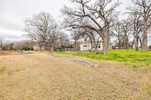a view of road with large trees